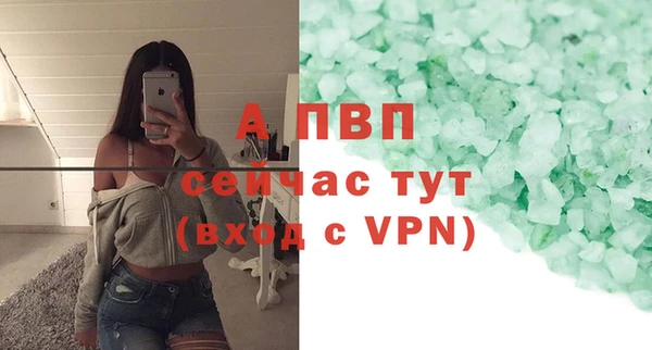 гашик Арсеньев