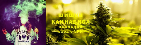 гашик Арсеньев