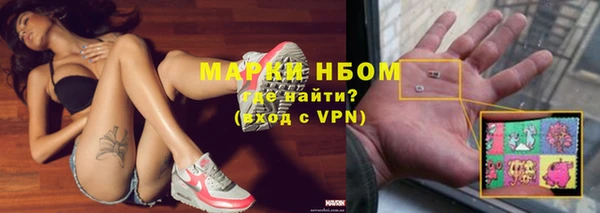 гашик Арсеньев