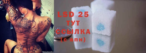 ГАЛЛЮЦИНОГЕННЫЕ ГРИБЫ Аркадак