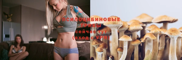 прущий лед Армянск