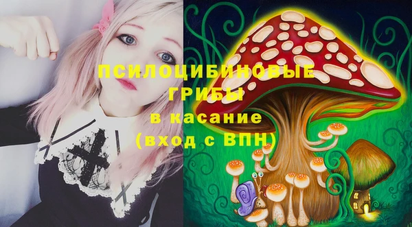 гашик Арсеньев