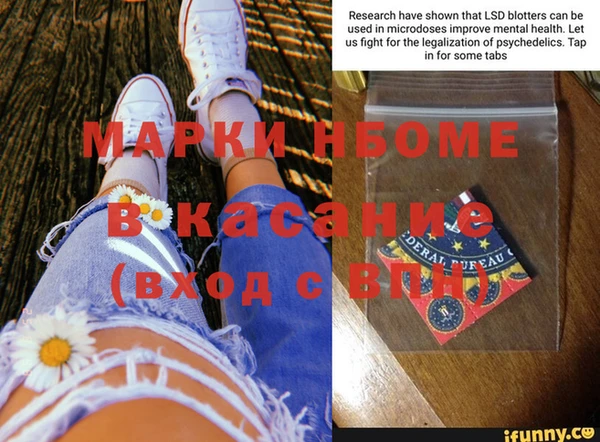 ГАЛЛЮЦИНОГЕННЫЕ ГРИБЫ Аркадак