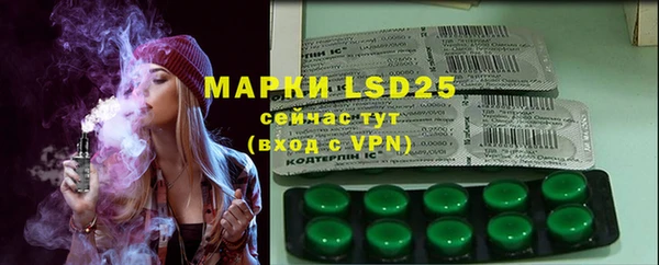 ГАЛЛЮЦИНОГЕННЫЕ ГРИБЫ Аркадак