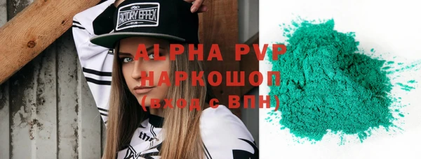 гашик Арсеньев