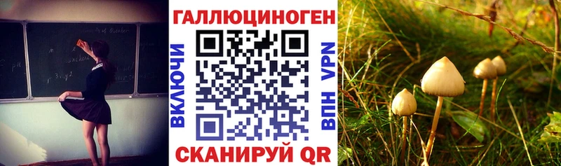 Псилоцибиновые грибы ЛСД Нефтегорск