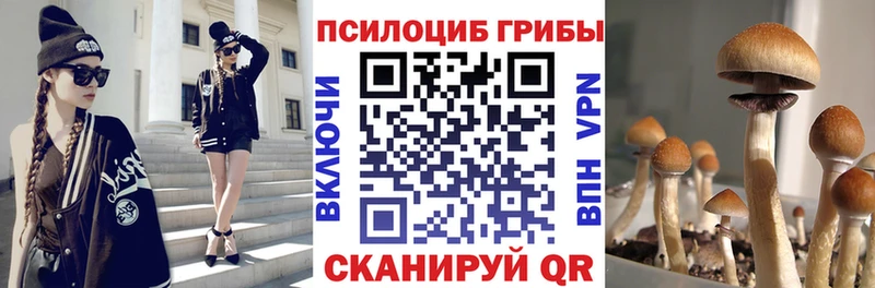 Купить  Нефтегорск  Псилоцибиновые грибы Psilocybine cubensis 